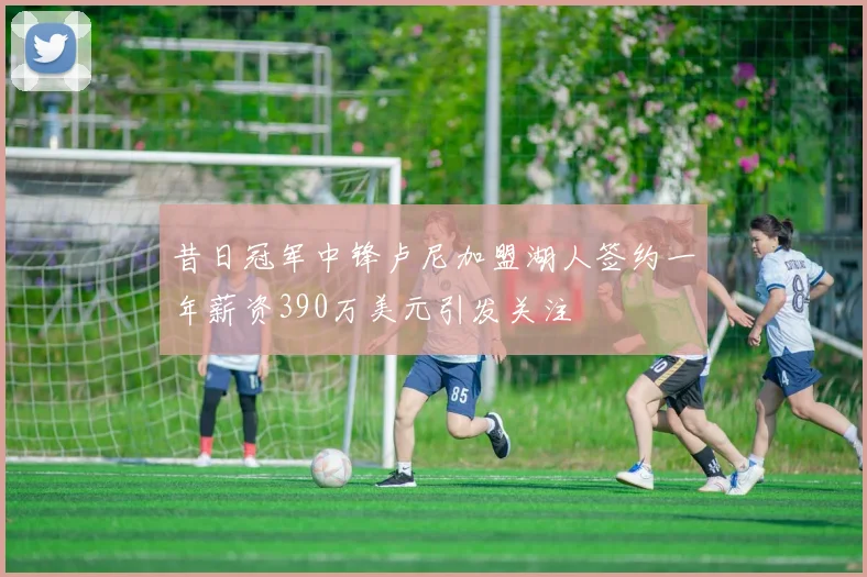 昔日冠军中锋卢尼加盟湖人签约一年薪资390万美元引发关注